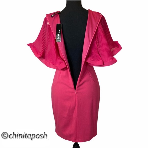 INA Fitter Mini Dress with Ruffle Sleeves - Picture 4 of 9